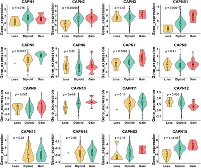 Novel insights into the progression and prognosis of the calpain family members in hepatocellular carcinoma: a comprehensive integrated analysis